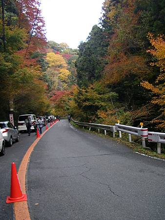 SANY0121.JPG SANY0121.JPG