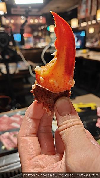 開箱超人氣蘆洲在地炭火燒烤【昭和園日式燒肉】和牛/生蠔/龍蝦 開箱超人氣蘆洲在地炭火燒烤【昭和園日式燒肉】和牛/生蠔/龍蝦