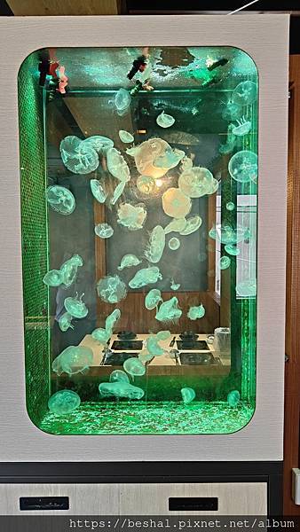 推薦新開幕海牧水產鍋物中和四號公園店超療癒水母海鮮產地直送 推薦新開幕海牧水產鍋物中和四號公園店超療癒水母海鮮產地直送