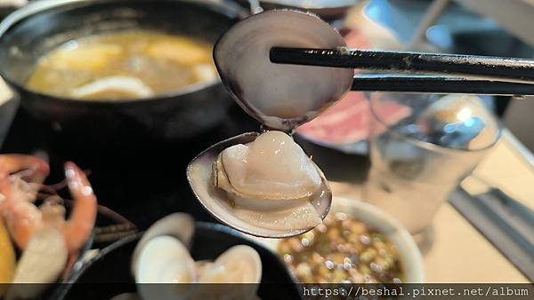 推薦新開幕海牧水產鍋物中和四號公園店超療癒水母海鮮產地直送 推薦新開幕海牧水產鍋物中和四號公園店超療癒水母海鮮產地直送
