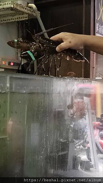《2025 新北耶誕城美食推薦》蒸天下海鮮蒸氣火鍋活體海鮮