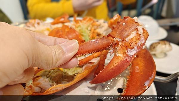 《2025 新北耶誕城美食推薦》蒸天下海鮮蒸氣火鍋活體海鮮 《2025 新北耶誕城美食推薦》蒸天下海鮮蒸氣火鍋活體海鮮