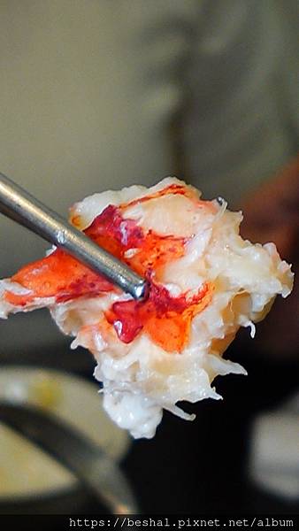 《2025 新北耶誕城美食推薦》蒸天下海鮮蒸氣火鍋活體海鮮