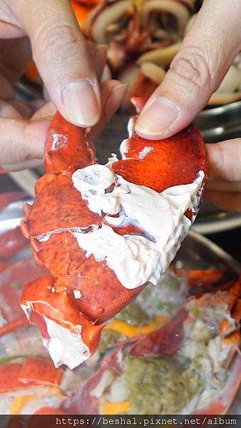 《2025 新北耶誕城美食推薦》蒸天下海鮮蒸氣火鍋活體海鮮