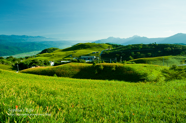 20110820-花蓮六十石山 (11).jpg