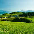 20110820-花蓮六十石山 (11).jpg