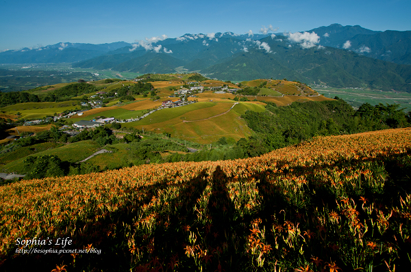 20110820-花蓮六十石山 (18).jpg