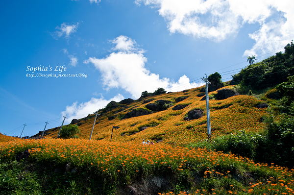 20110820-花蓮六十石山 (21).jpg