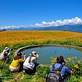 20110820-花蓮六十石山 (29).jpg