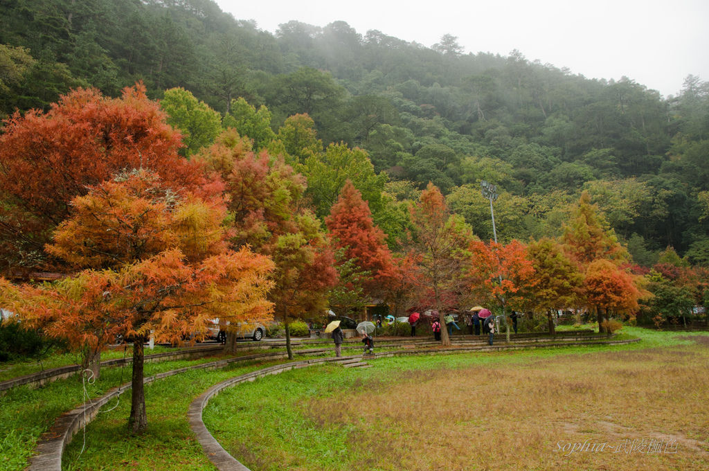 20111127-武陵農場 (10).JPG