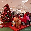 2011 Xmas-9.JPG