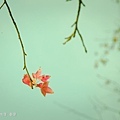 20120126 石門水庫-9.JPG