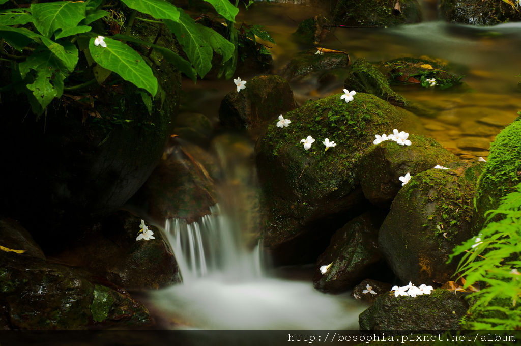 20120429--龍潭小粗坑古道 (5)