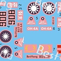 BDS19Decal