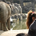 20090204寒令營_木柵動物園 982.jpg