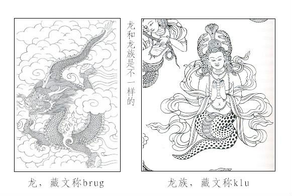 天龍八部--龍王、龍族眾生揭秘－菩提蓮心｜痞客邦
