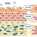 杏仁酸2-72.jpg