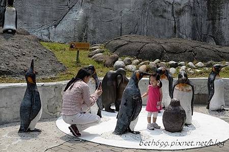 20130903台北市立木柵動物園 004_nEO_IMG.jpg