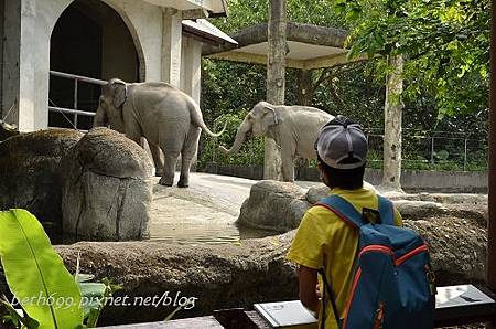 20130903台北市立木柵動物園 061_nEO_IMG.jpg