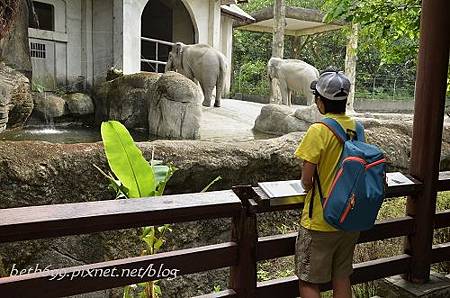 20130903台北市立木柵動物園 060_nEO_IMG.jpg