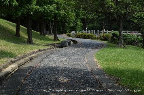 20130711中正紀念園 052_nEO_IMG.jpg