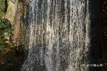 20140107龍山寺 073_nEO_IMG.jpg