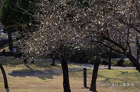 20140107逸仙公園 036_nEO_IMG.jpg