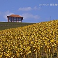 20140128基隆擁恆、瑞芳猴硐 030_nEO_IMG.jpg