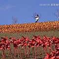 20140128基隆擁恆、瑞芳猴硐 032_nEO_IMG.jpg