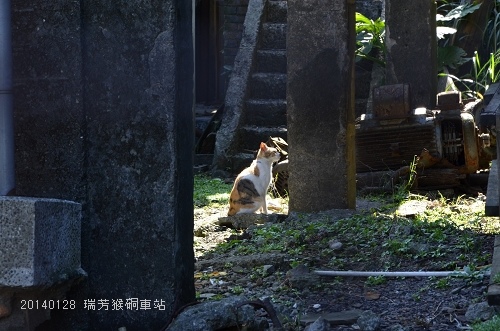 20140128基隆擁恆、瑞芳猴硐 066_nEO_IMG.jpg