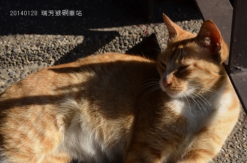 20140128基隆擁恆、瑞芳猴硐 113_nEO_IMG.jpg