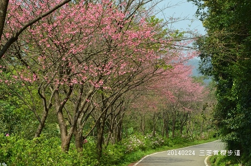 20140224三芝、老梅石槽 063_nEO_IMG.jpg