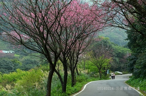 20140224三芝、老梅石槽 066_nEO_IMG.jpg