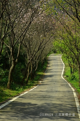 20140224三芝、老梅石槽 075_nEO_IMG.jpg