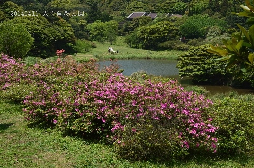 20140411大屯公園、于右任之墓 001_nEO_IMG.jpg