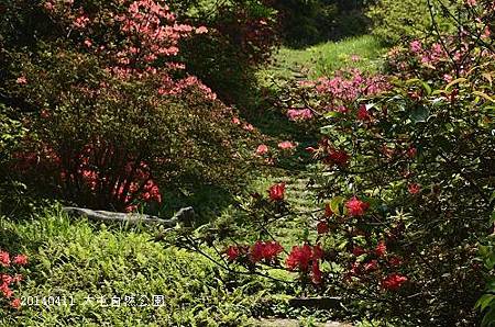 20140411大屯公園、于右任之墓 009_nEO_IMG.jpg