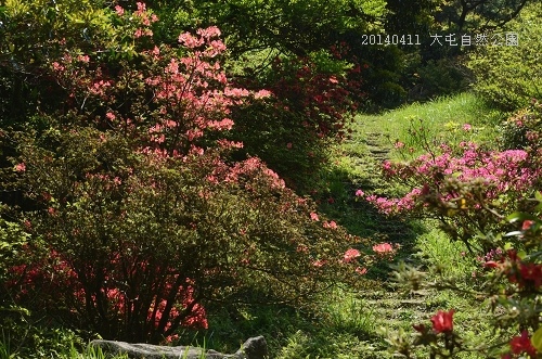 20140411大屯公園、于右任之墓 010_nEO_IMG.jpg