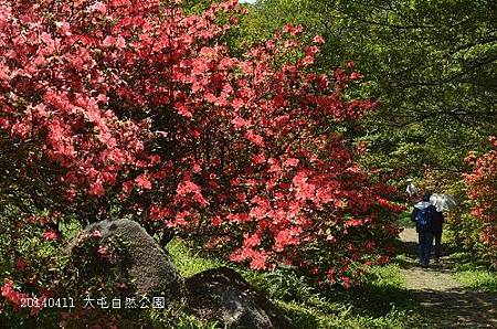 20140411大屯公園、于右任之墓 019_nEO_IMG.jpg