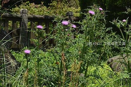 20140411大屯公園、于右任之墓 027_nEO_IMG.jpg