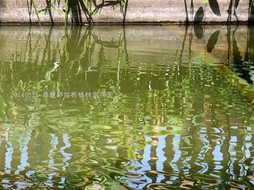 20140511板橋林家花園 015_nEO_IMG.jpg