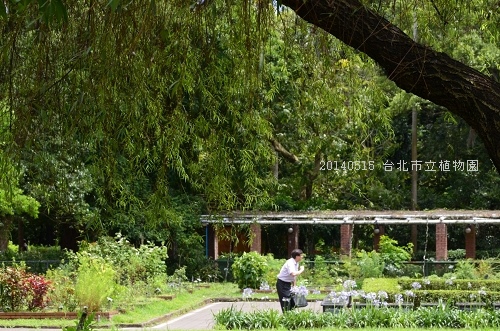 20140515台北市植物園 031_nEO_IMG.jpg