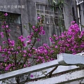 20140515台北市植物園 043_nEO_IMG.jpg