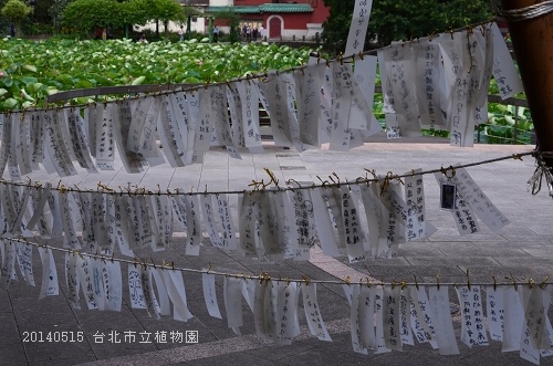 20140515台北市植物園 051_nEO_IMG.jpg