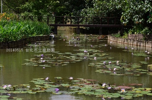 20140515台北市植物園 053_nEO_IMG.jpg