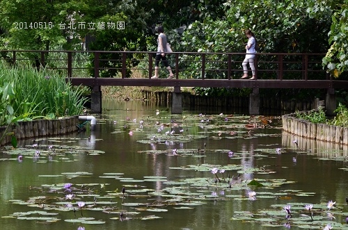 20140515台北市植物園 054_nEO_IMG.jpg