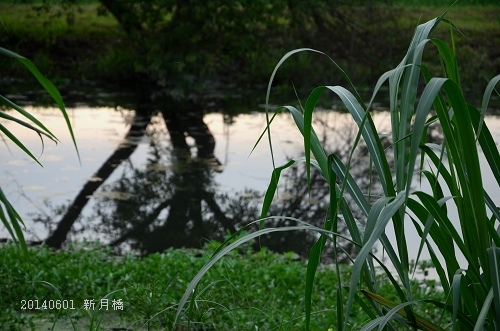 20140601板橋,新莊 088_nEO_IMG.jpg