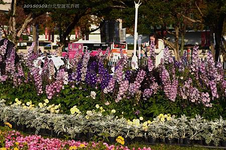 20150102台北聖誕花卉展33.jpg