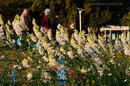 20150102台北聖誕花卉展40.jpg