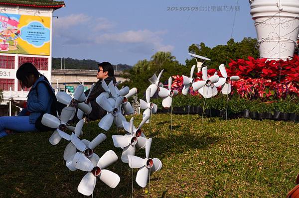 20150103台北聖誕花卉展11.jpg