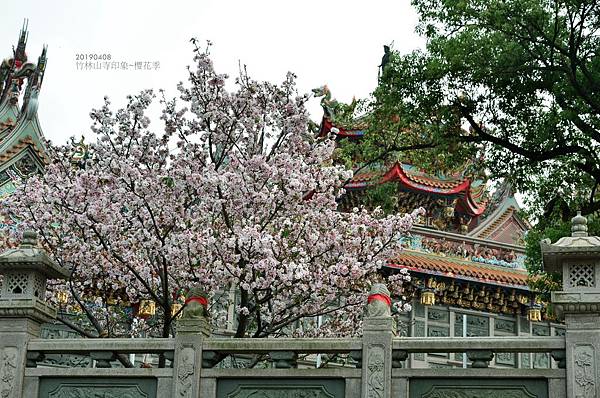 20190408竹林山寺印象&櫻花季15.jpg